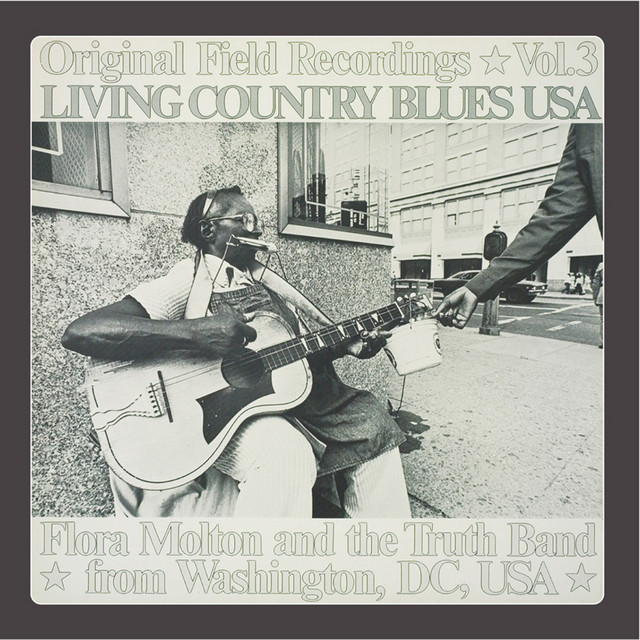 Living Country Blues USA, Vol. 3 album cover