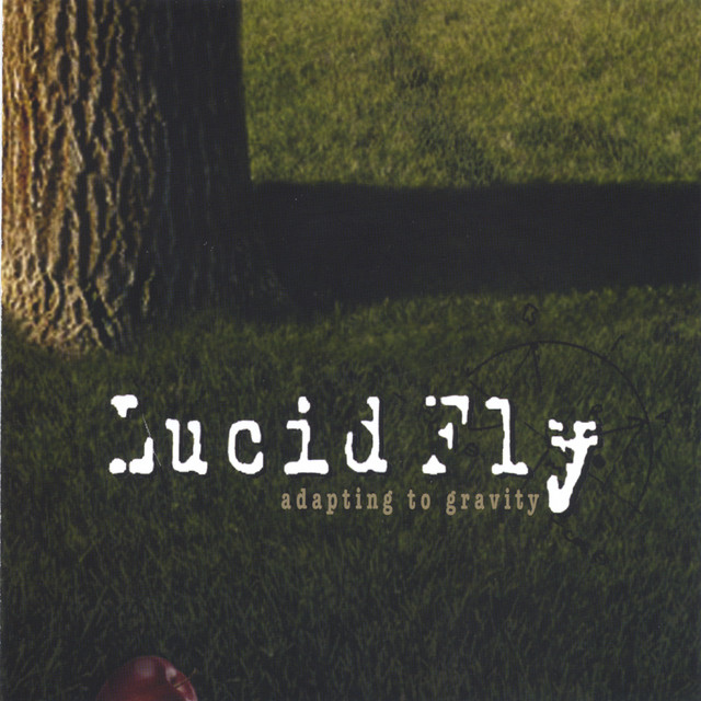 Adapting To Gravity album cover