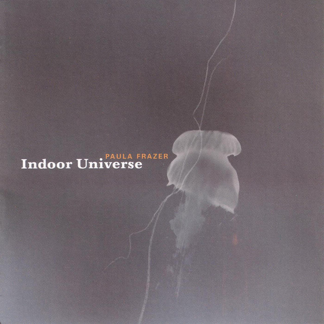 Indoor Universe album cover