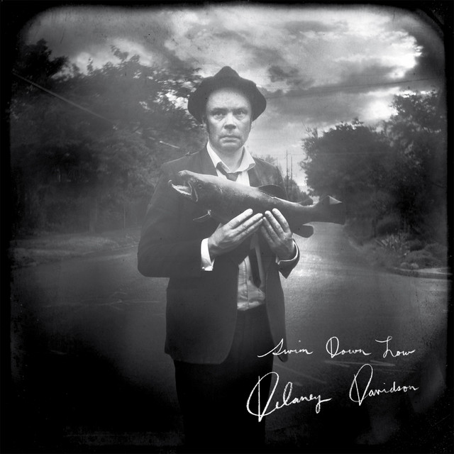 Swim Down Low album cover