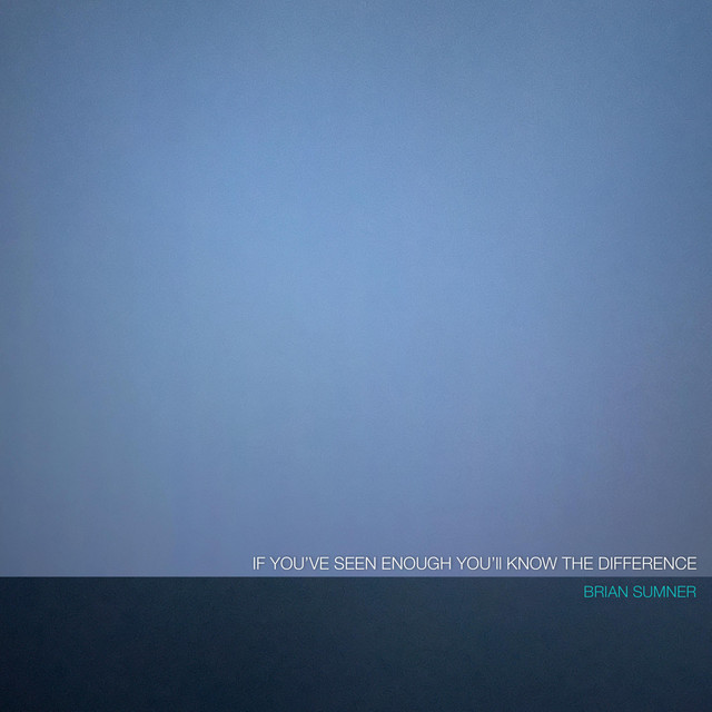 If You've Seen Enough You'll Know the Difference album cover