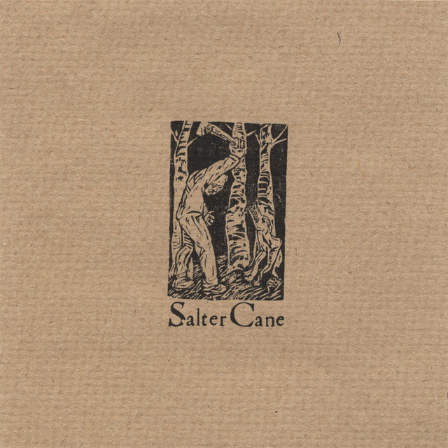 Salter Cane album cover