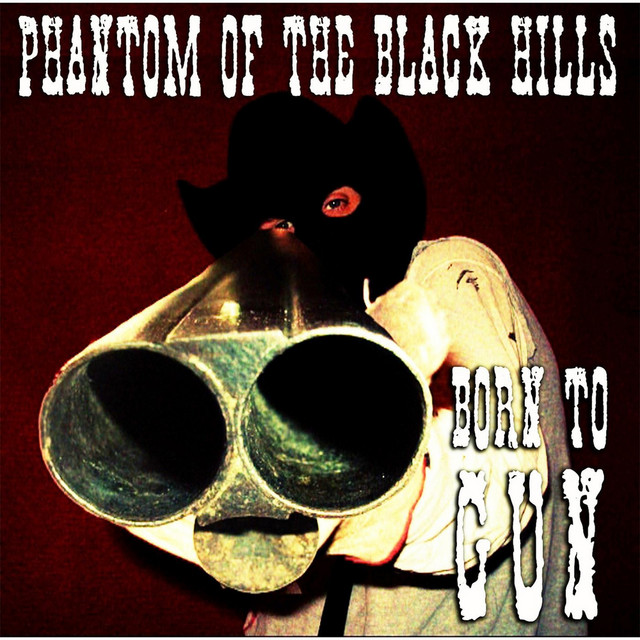 Born to Gun album cover