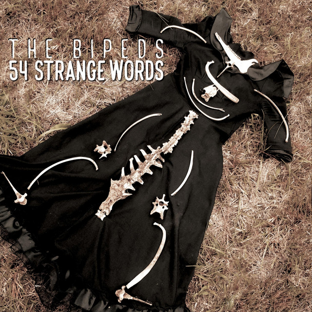 54 Strange Words album cover