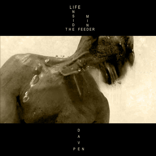 Life Inside the Feeder Mind album cover