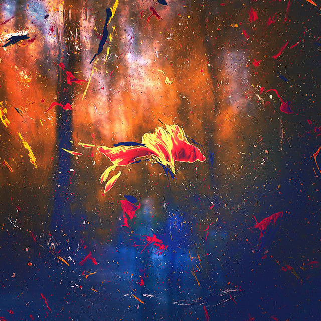 In New Light album cover
