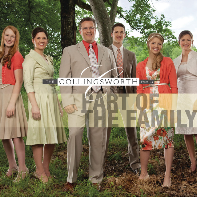 Part Of The Family album cover
