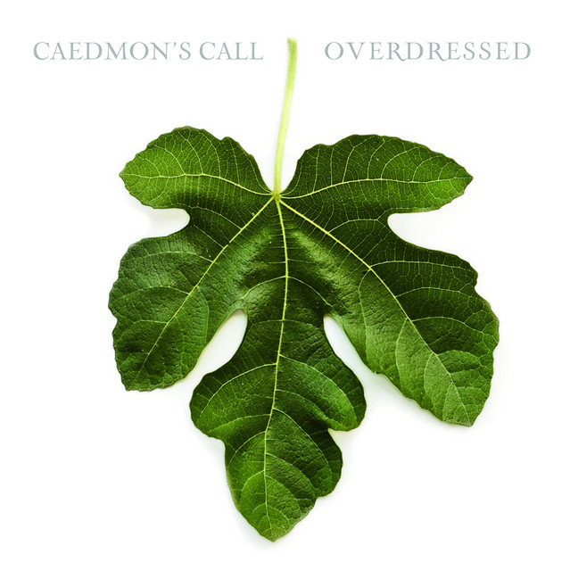 Overdressed album cover