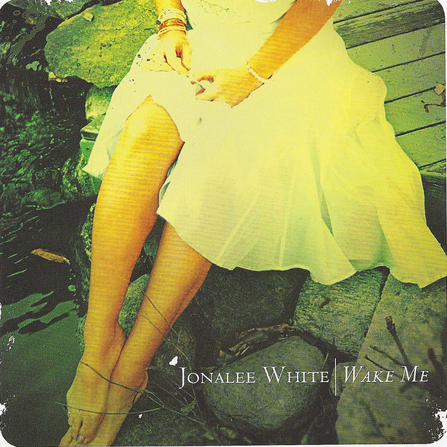 Wake Me album cover