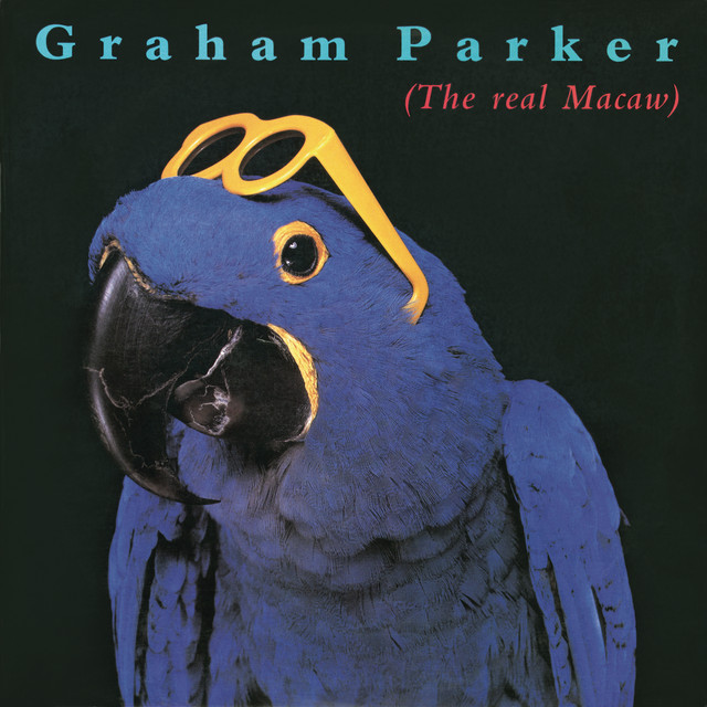 The Real Macaw album cover