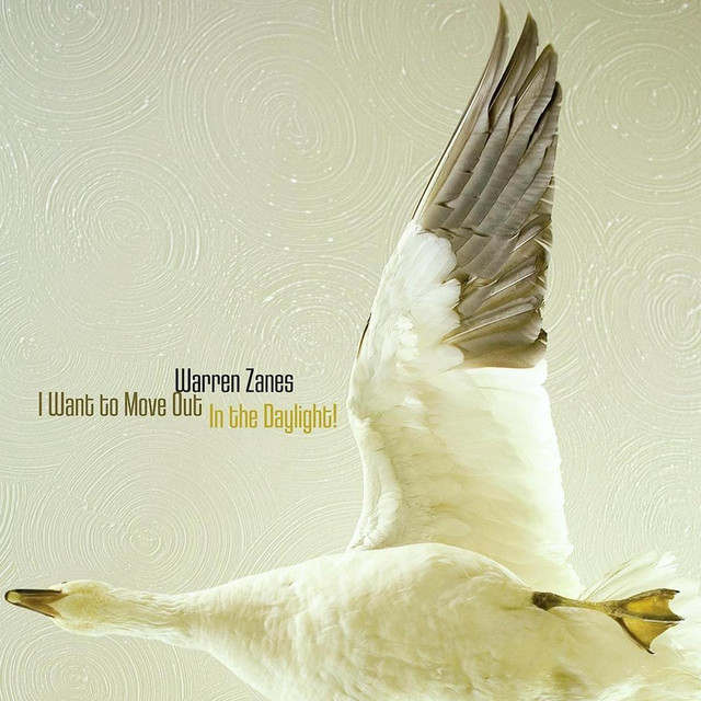 I Want To Move Out In The Daylight! album cover