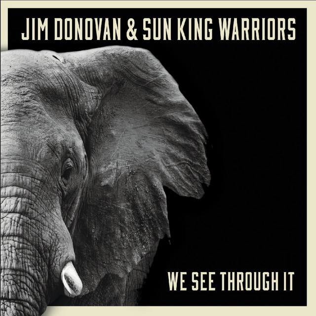 We See Through It album cover