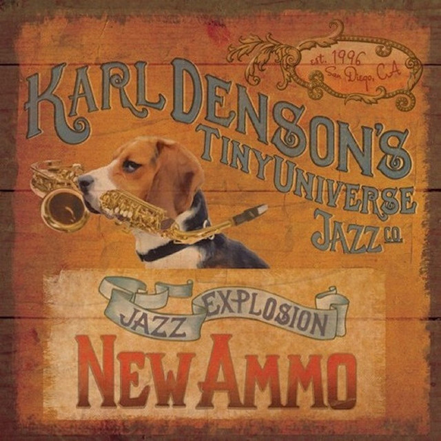 New Ammo album cover