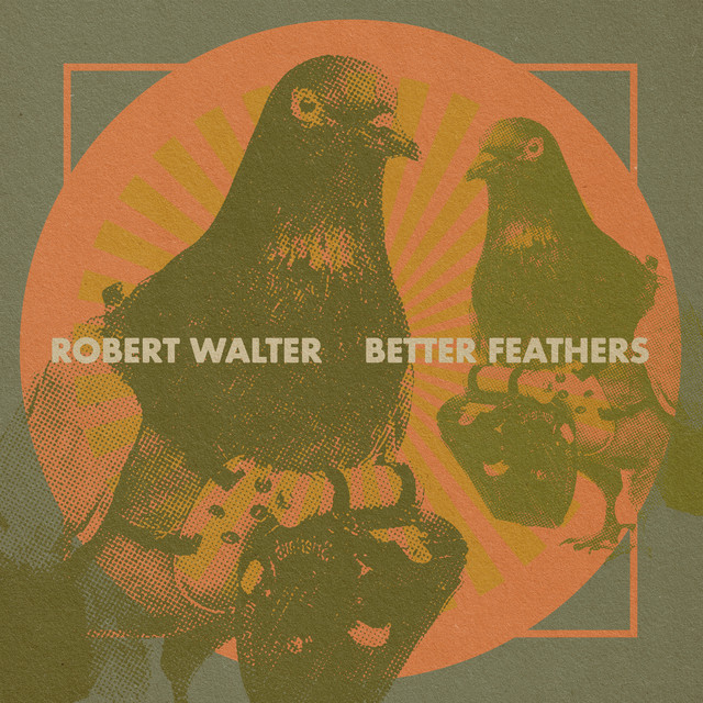 Better Feathers album cover