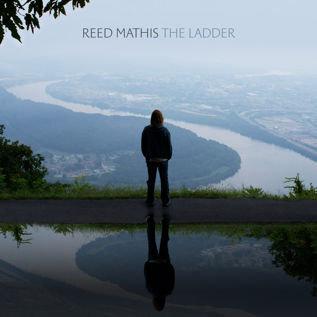 The Ladder album cover