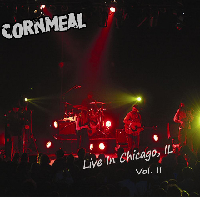 Live In Chicago, IL Vol. II album cover