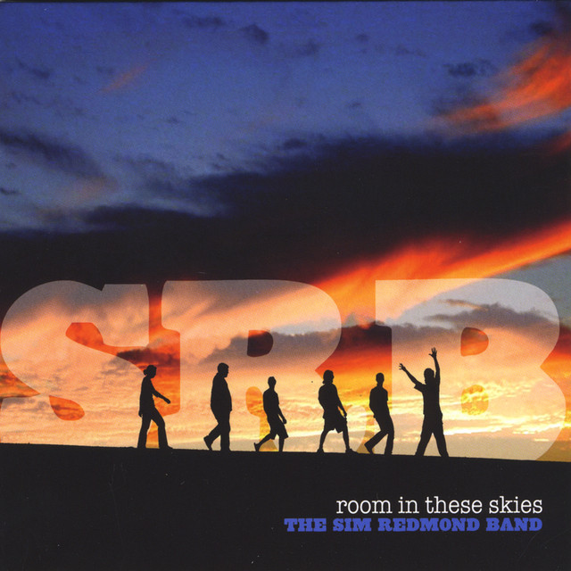 Room In These Skies album cover