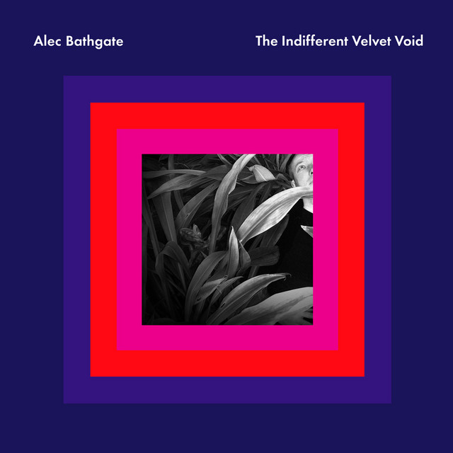 The Indifferent Velvet Void album cover