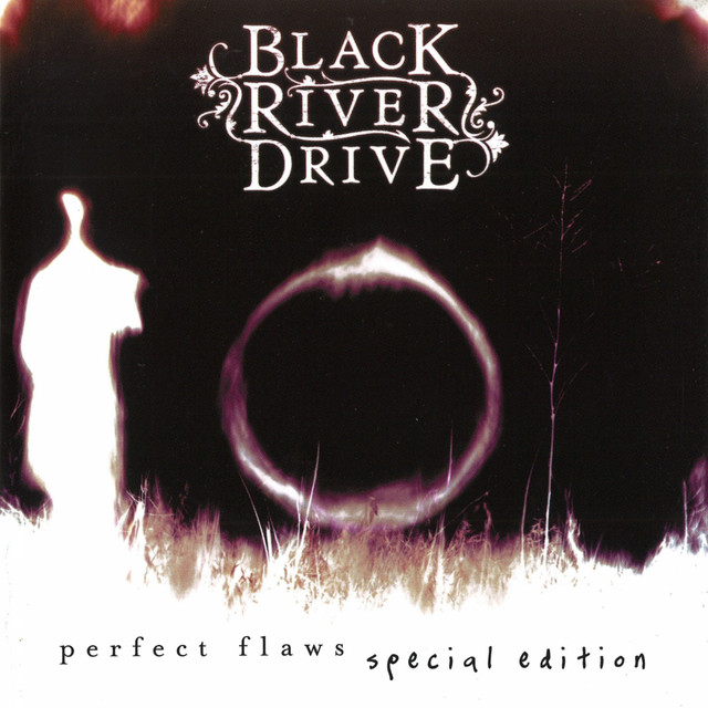 Perfect Flaws album cover