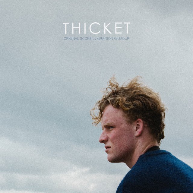 Thicket album cover