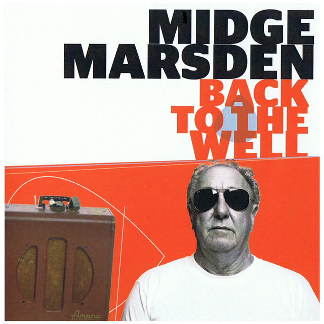 BACK TO THE WELL album cover