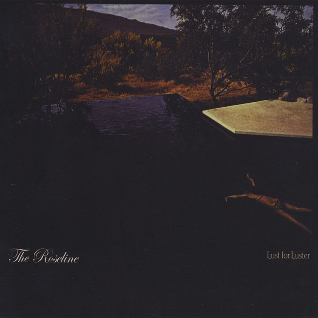Lust For Luster album cover
