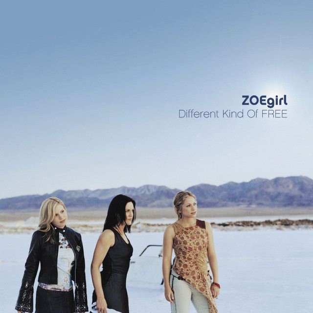 Different Kind Of Free album cover