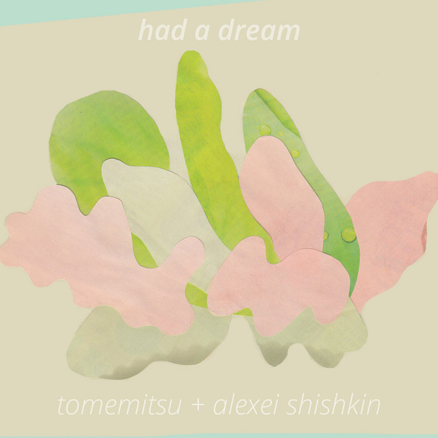 Had a Dream album cover