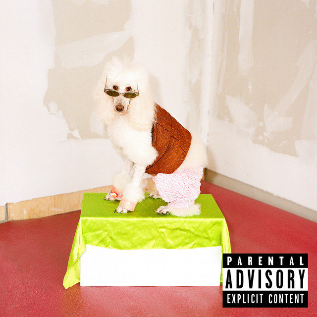 Big album cover