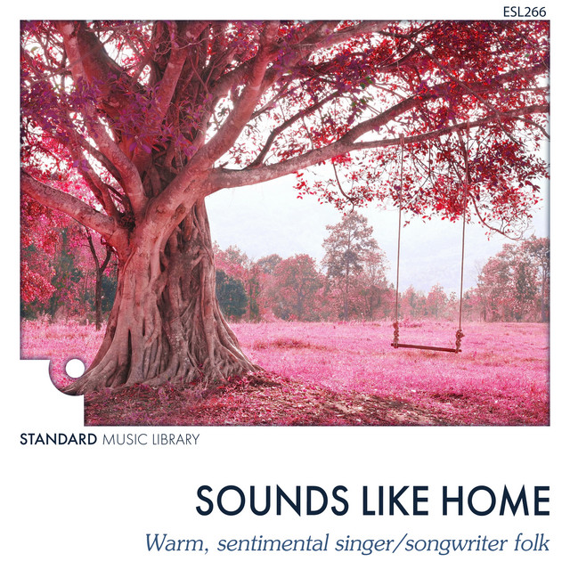 Sounds Like Home album cover