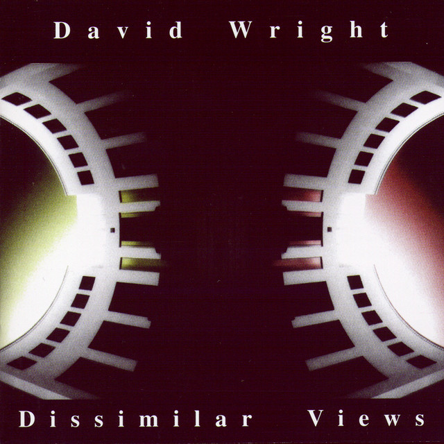 Dissimilar Views album cover