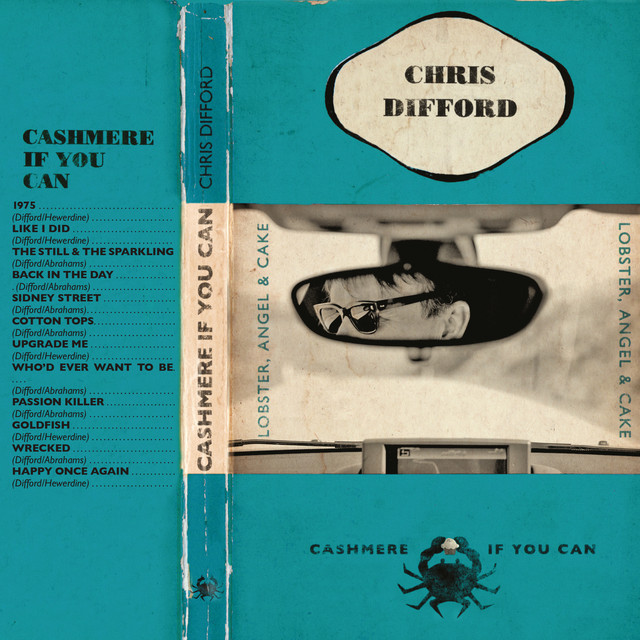 Cashmere If You Can album cover