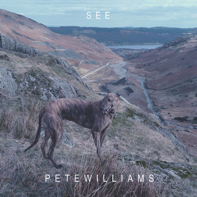 See album cover