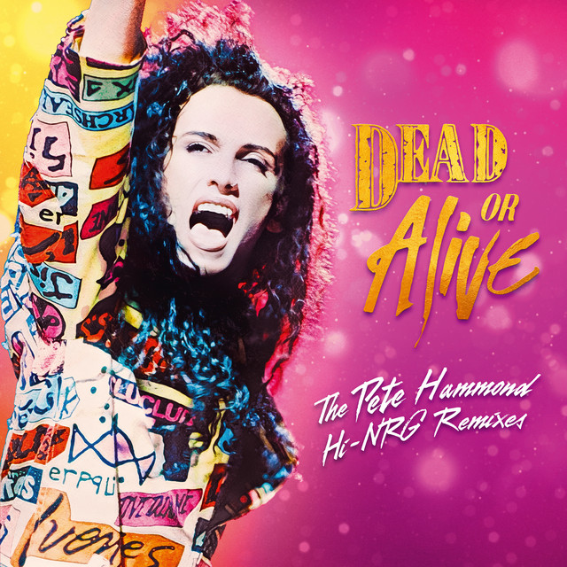 The Pete Hammond Hi-NRG Remixes album cover