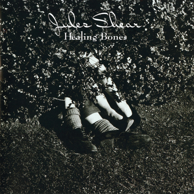 Healing Bones album cover