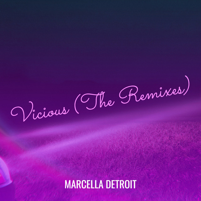 Vicious Bitch (The Remixes) album cover