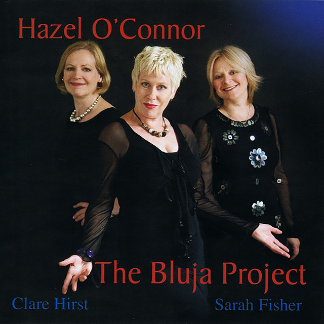 The Bluja Project album cover