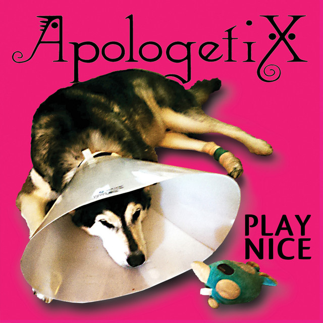 Play Nice album cover