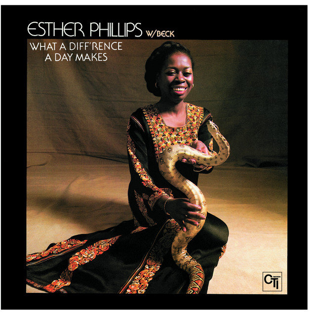 What A Diff'rence A Day Makes album cover