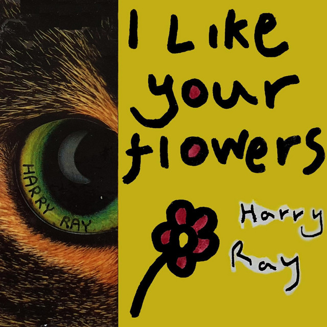 I Like Your Flowers album cover