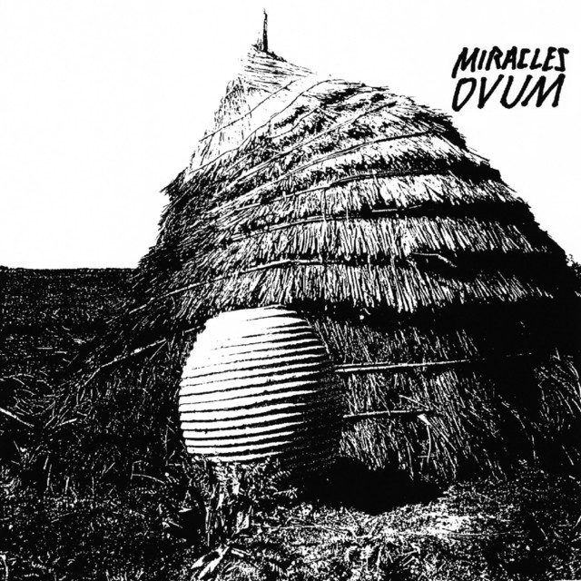 Ovum album cover