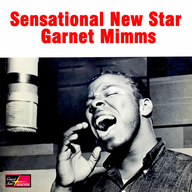 Sensational New Star album cover