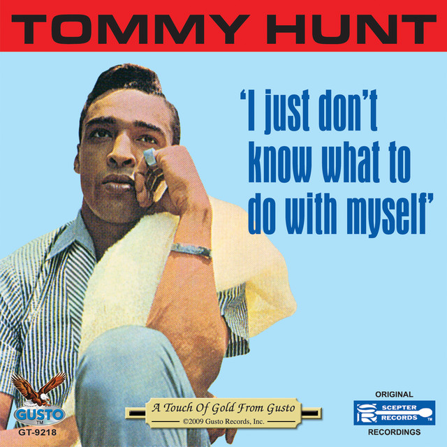 I Just Don't Know What To Do With Myself album cover