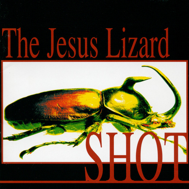 Shot album cover