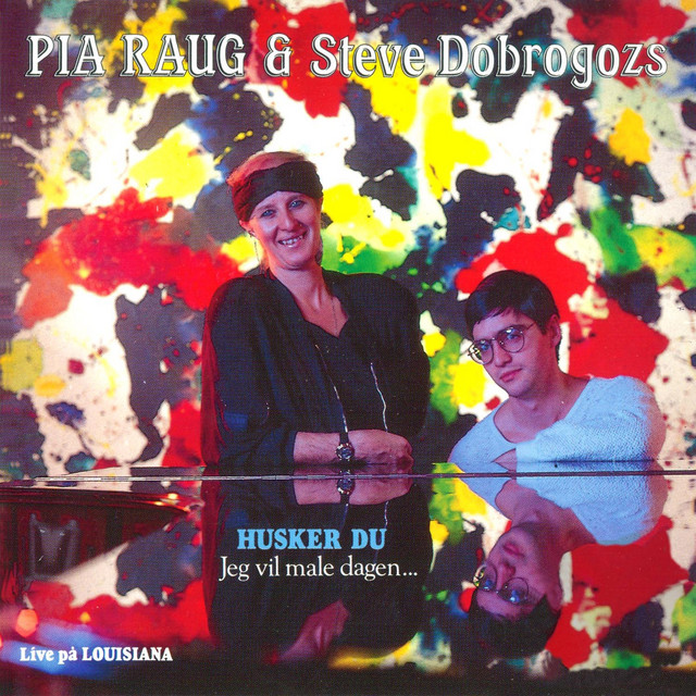 Husker Du album cover