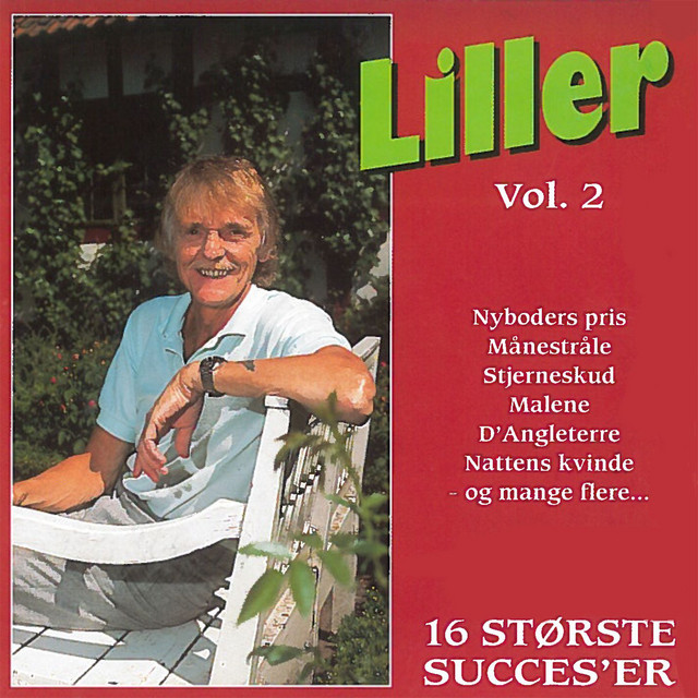 16 Største Succes'er 2 album cover