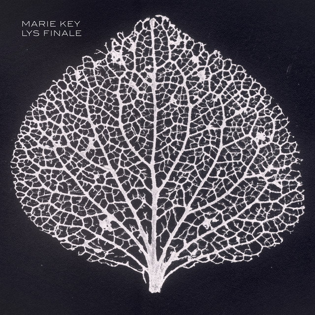 Lys Finale album cover