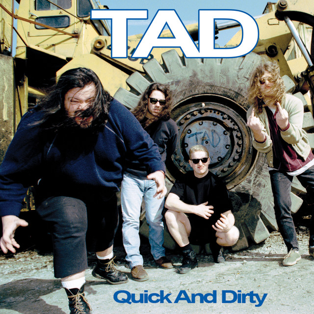 Sunn 4x12 as heard on Quick And Dirty by Tad (1995)