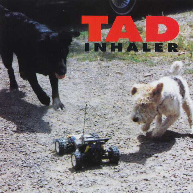 Inhaler album cover