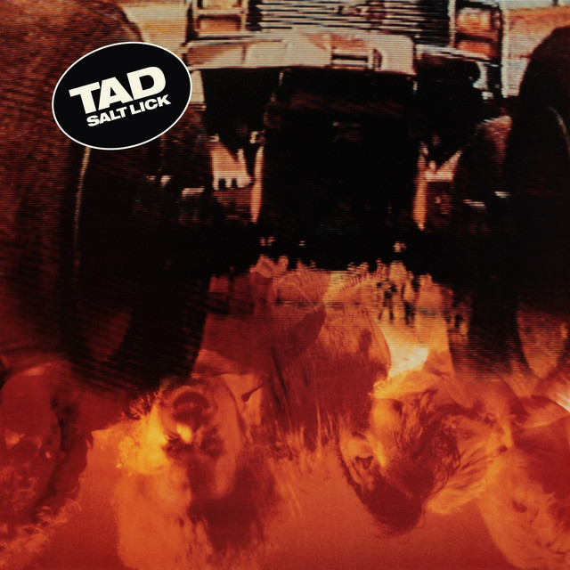 Salt Lick (Deluxe Edition) album cover